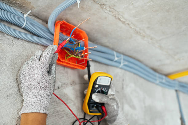 Best Industrial Electrical Services  in Dupo, IL